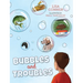 Bubbles and Troubles