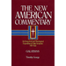 Galatians: An Exegetical and Theological Exposition of Holy Scripture Volume 30