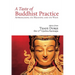 A Taste of Buddhist Practice: Approaching Its Meaning and Its Ways