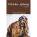 Fall like Lightning
