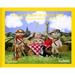 Nudinits: Fun and Frolics in Woolly Bush: 25 Knitting Patterns Celebrating Village Life
