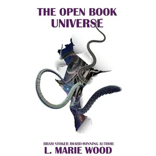 The Open Book Universe