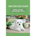 Maltese Dog Guide: Maltese Training, Characteristics, & Care: Alpha Dog For Maltese Dog