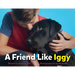 A Friend Like Iggy