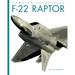 F-22 Raptor
