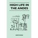 High Life in the Andes