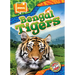Bengal Tigers