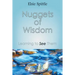 Nuggets of Wisdom: Learning to See Them