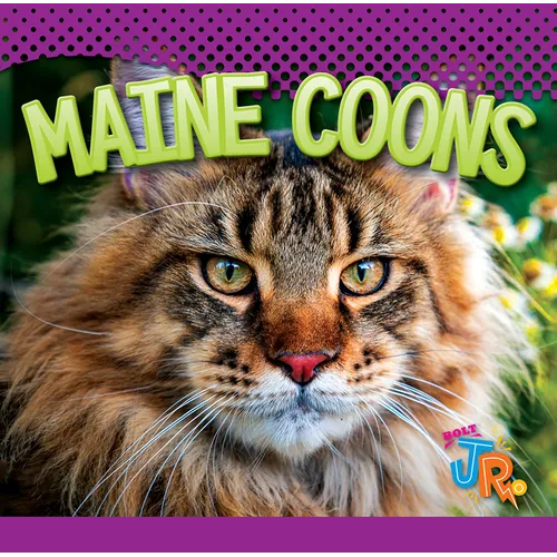 Maine Coons