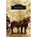 Ansonia