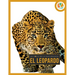Leopardo