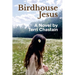 Birdhouse Jesus