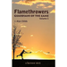 Flamethrowers - Guardians of the game: A lacrosse story