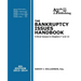 The Bankruptcy Issues Handbook (6th Ed., 2013): Critical Issues in Chapter 7 and Chapter 13