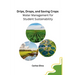 Drips, Drops, and Saving Crops: Water Management for Student Sustainability