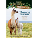 Llamas and the Andes: A Nonfiction Companion to Magic Tree House #34: Late Lunch with Llamas