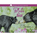 Blake the Bear