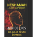 Neshamah Alma Superior: Adn de Dios Perspectiva Hebrea Vol 2
