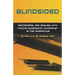 Blindsided--Recognizing and Dealing with Passive-Aggressive Leadership in the Workplace, 2nd edition: 2nd edition