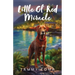 Little Ol' Red Miracle