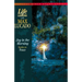Joy in the Morning: Studies on Peace