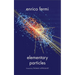 Elementary Particles