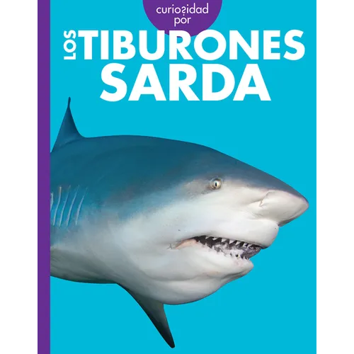 Curiosidad Por Los Tiburones Sarda