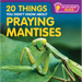 20 Things You Didn't Know about Praying Mantises