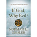 If God, Why Evil?: A New Way to Think about the Question