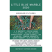 Little Blue Marble 2020: Greener Futures