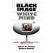 The Black Image in the White Mind: Media and Race in America