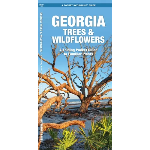 Georgia Trees & Wildflowers: A Folding Pocket Guide to Familiar Plants