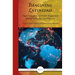 Imagining Latinidad: Digital Diasporas and Public Engagement Among Latin American Migrants