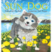Sun Dog