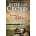 Passing through Perfect: Family Saga (A Wyattsville Novel Book 3)