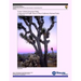 Visitor Vehicle Emissions Study: Comparison of Traffic Data at Three California National Parks- Final Report
