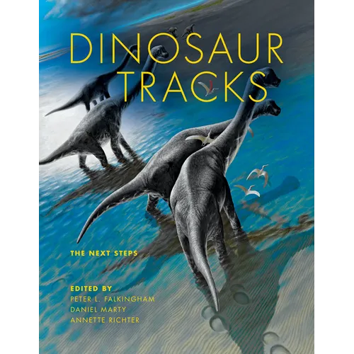 Dinosaur Tracks: The Next Steps