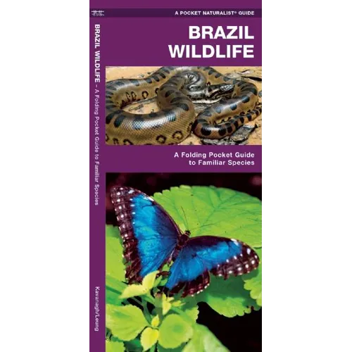 Brazil Wildlife: A Folding Pocket Guide to Familiar Animals