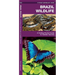 Brazil Wildlife: A Folding Pocket Guide to Familiar Animals