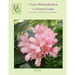 Vireya Rhododendron A Picture Guide: How I Grow Vireya In My Hawaii Garden
