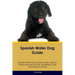 Spanish Water Dog Guide Spanish Water Dog Guide Includes: Spanish Water Dog Training, Diet, Socializing, Care, Grooming, Breeding and More