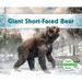 Giant Short-Faced Bear