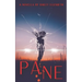 Pane: A Horror Novella