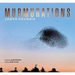 Murmuration
