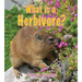 What Is a Herbivore?