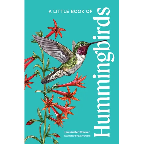 A Little Book of Hummingbirds: A Bird Identification Book