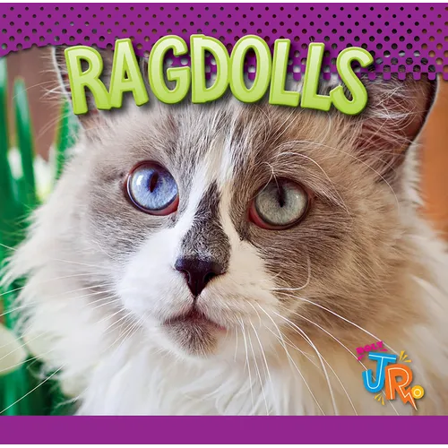 Ragdolls