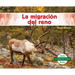 La Migración del Reno (Caribou Migration)