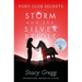 Storm and the Silver Bridle