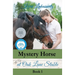 Mystery Horse at Oak Lane Stable